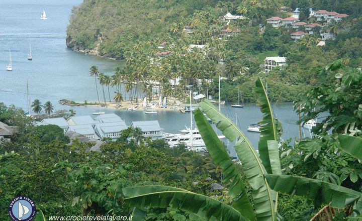 barca a vela St Lucia Caraibi